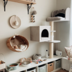 Best Cat Room Ideas
